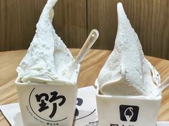 -野人先生现做冰淇淋(北京王府井东方新天地店)