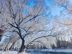 -东北大厦酒店(沈阳北站青年大街店)