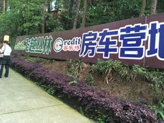 -铁山坪森林公园