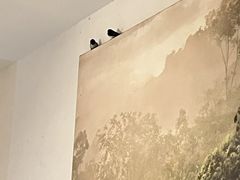 -云里小坐·小院里·团建·宴请·下午茶(三圣乡店)