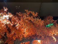 -花间别院(凤凰店)
