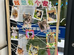 -派美特宠物医院·核磁CT·骨科肿瘤·疑难转诊(沈农禾丰店)