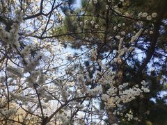 -天津盘山风景名胜区