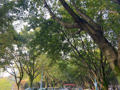-西南政法大学(渝北校区)
