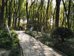 -范蠡湖公园