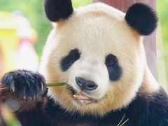 -杭州野生动物世界