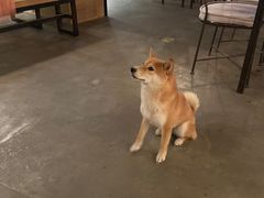 -FOAM LAB 泡沫实验室精酿餐吧