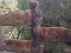 景点-蒙山大佛景区