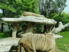 -北京野生动物园