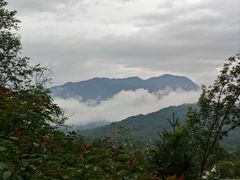 -海窝子古镇