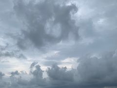 -红树林天天赶海