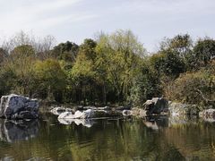 -吴淞炮台湾湿地森林公园烧烤区