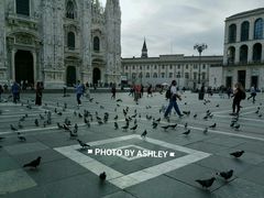 -埃马努埃莱二世拱廊