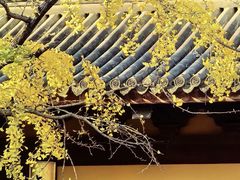 -龙华寺