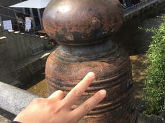 -奈良公园