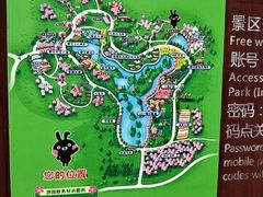 -天适樱花悠乐园