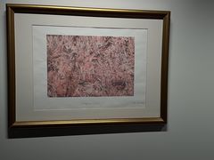 -冰岛阴茎博物馆