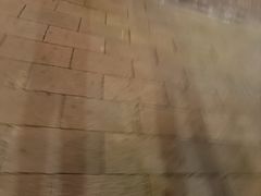 -金东尼人妖秀