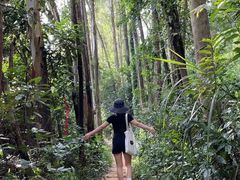 -火炉山森林公园