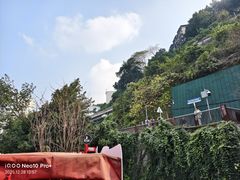 -李子坝梁山鸡(李子坝大鸡哥店)