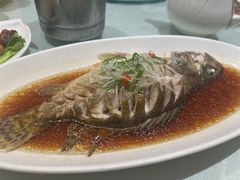 -绿雅酒家(江西中路店)