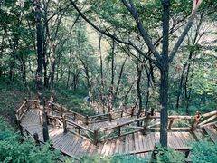 -大岭沟猕猴桃谷风景区