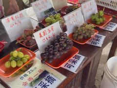 -马陆小张葡萄园农家乐