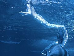 -太平洋海底世界