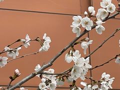 -山东省千佛山医院