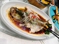 -悦福瑞酒楼(西影路店)