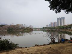 -飞来湖湿地公园