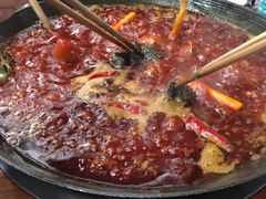鲜毛肚-星鸿社重庆老火锅