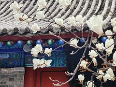 -万寿八仙宫