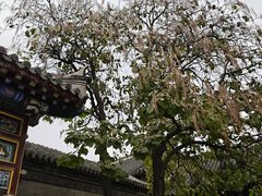 -张学良旧居陈列馆