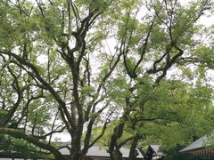 -热田神宫