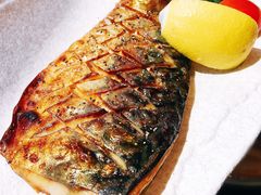 -古京·臻致料理(月湖店)