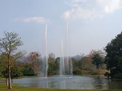 -中国科学院西双版纳热带植物园