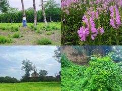 -汉长安城未央宫国家考古遗址公园