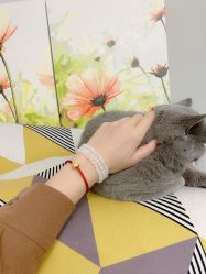 -周生生Chow Sang Sang(东方店)