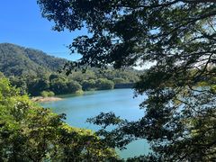 -佛山市三水区大南山森林公园