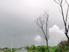 -梁子湖东篱老屋生态庄园