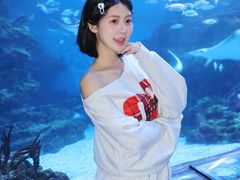 -海合安成都极地海洋公园