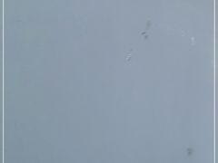 -食味稻汕头食杂(西罗园店)