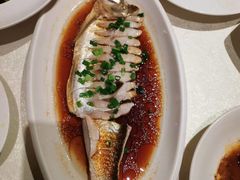 -金美华轩(东方路齐鲁店)