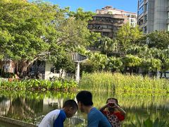 -四海公园(南山区)