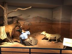 -陕西自然博物馆