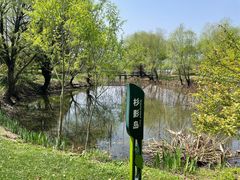 -长兴太湖图影湿地文化园