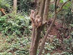 -御轩足道·SPA·养生·保健(瑞金北路店)