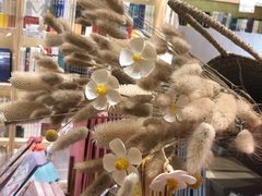 -猫的天空之城概念书店(印象城购物中心店)
