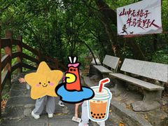 -广州白江湖森林公园